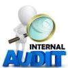peran-auditor-internal